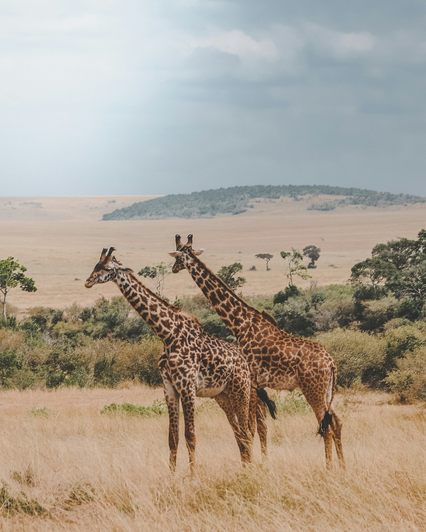 A Traveler’s Guide to Africa’s Best Kept Secrets